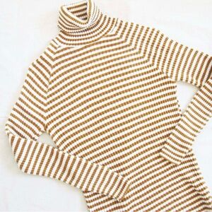 Striped Turtleneck Sweater - Brown and White